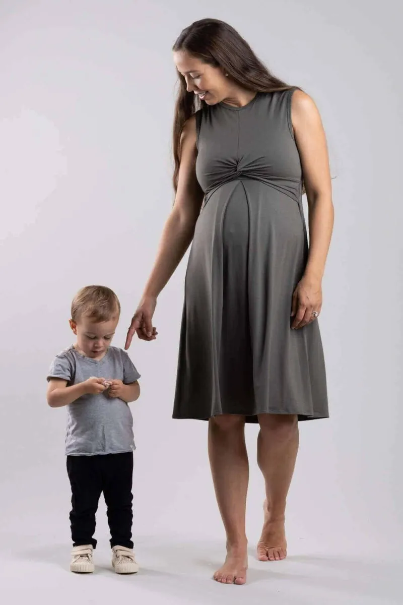 Debra Maternity & Nursing Dress