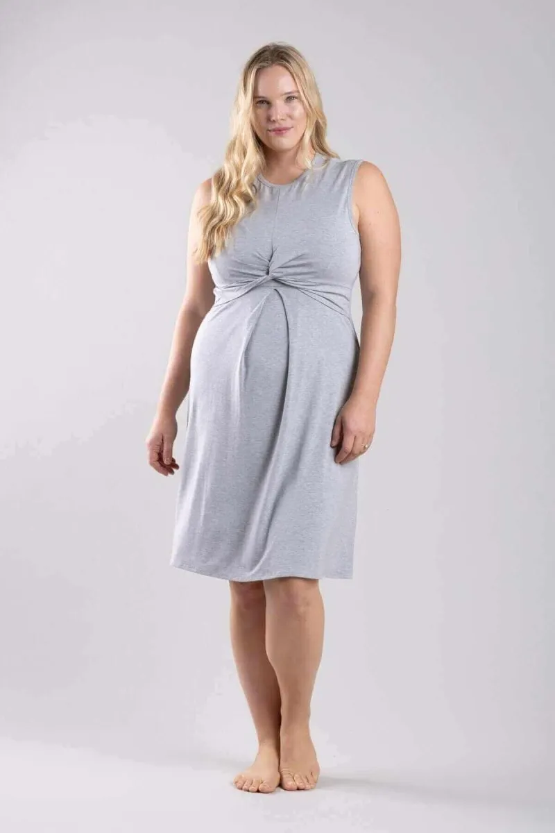 Debra Maternity & Nursing Dress