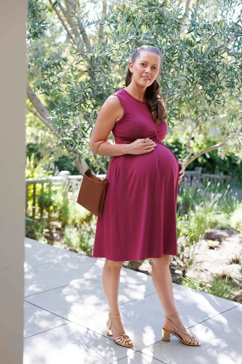 Debra Maternity & Nursing Dress
