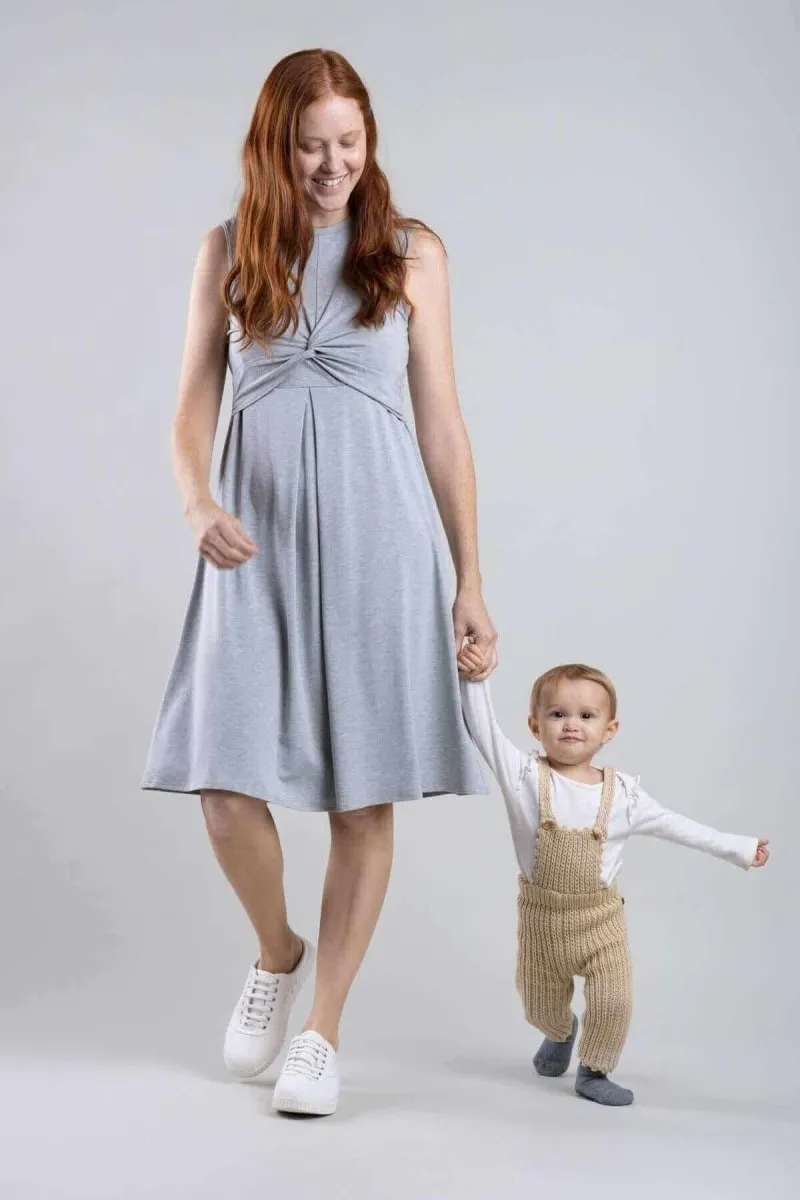 Debra Maternity & Nursing Dress