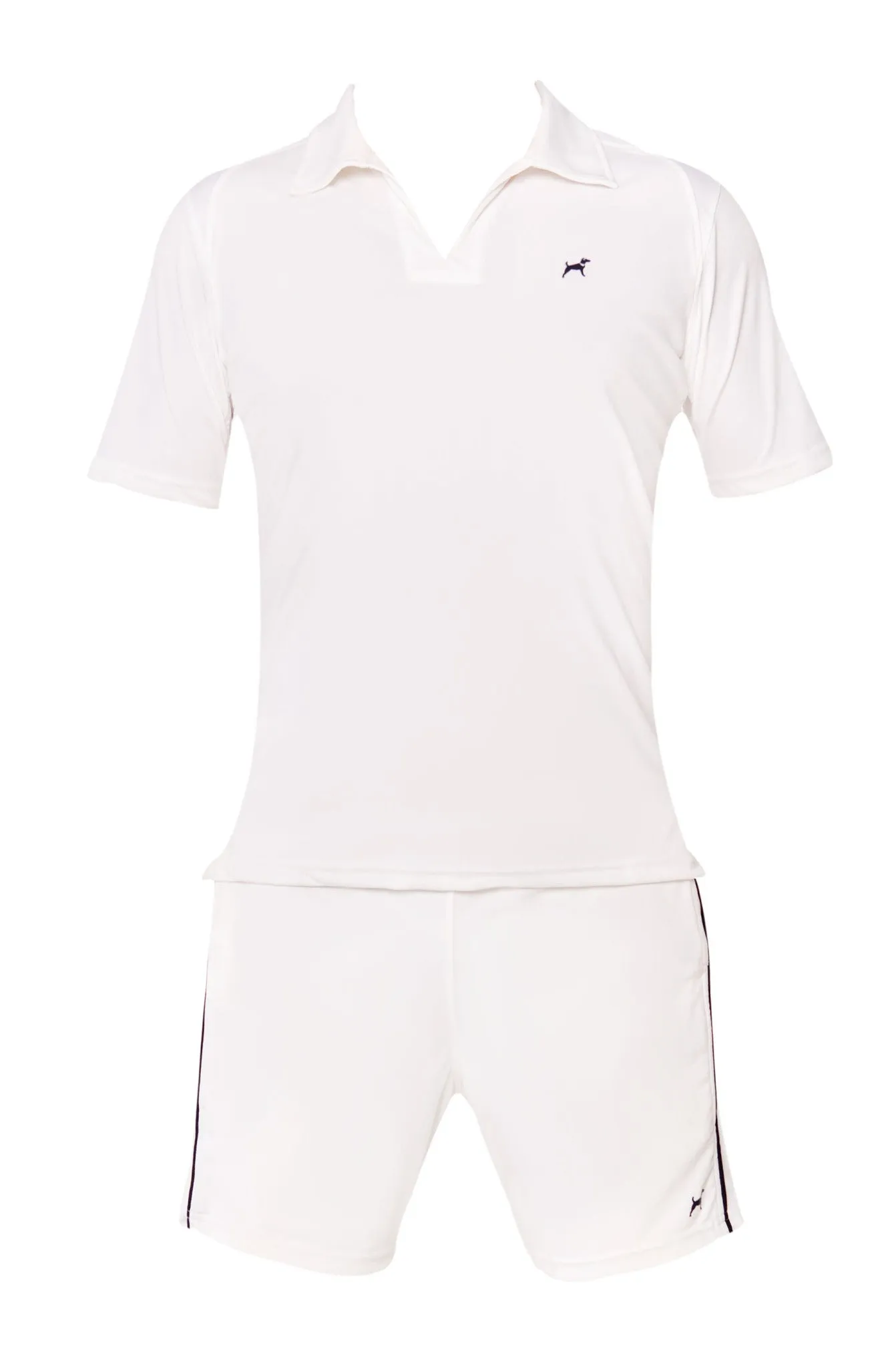The Ambassador in White