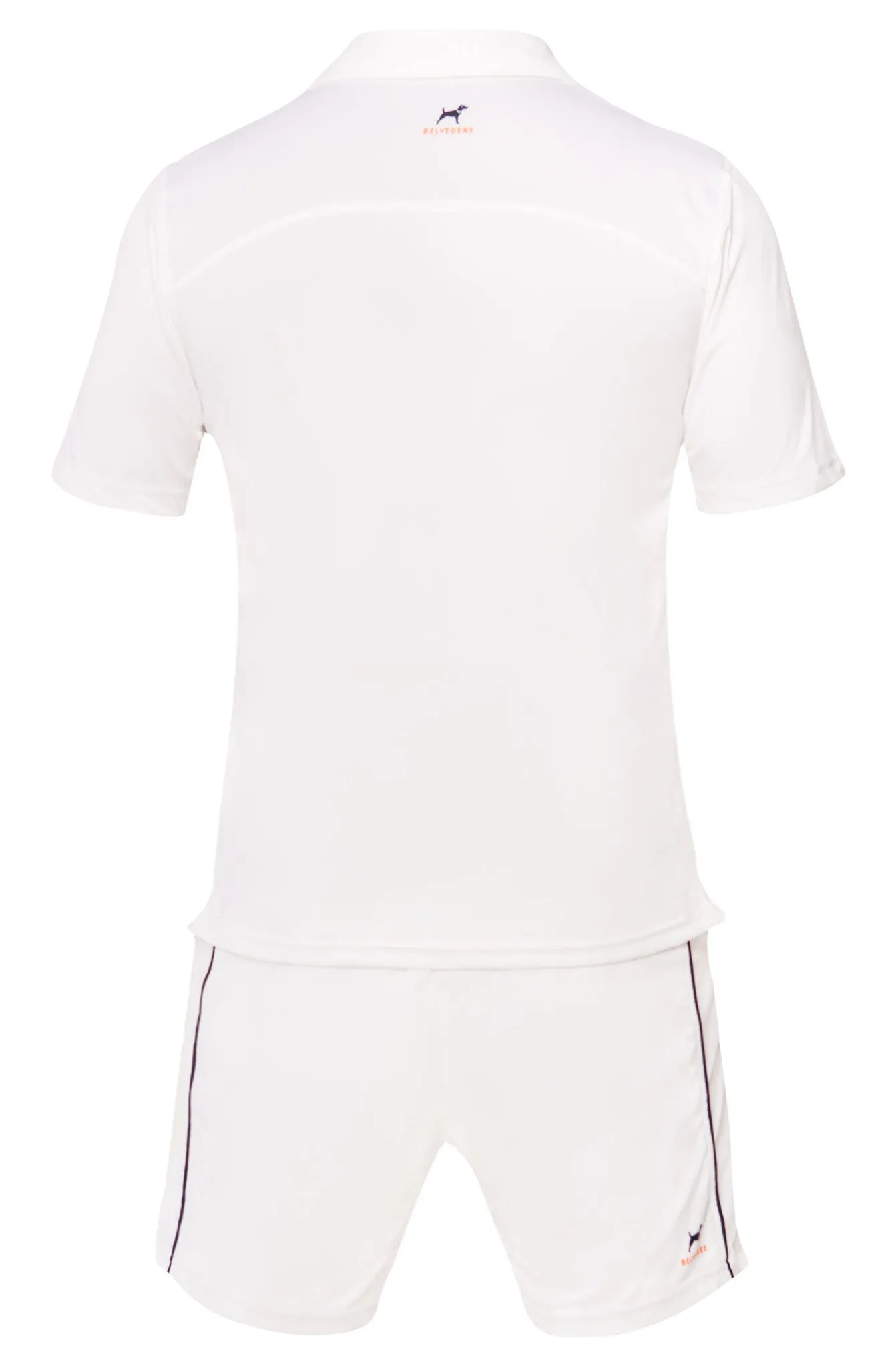 The Ambassador in White